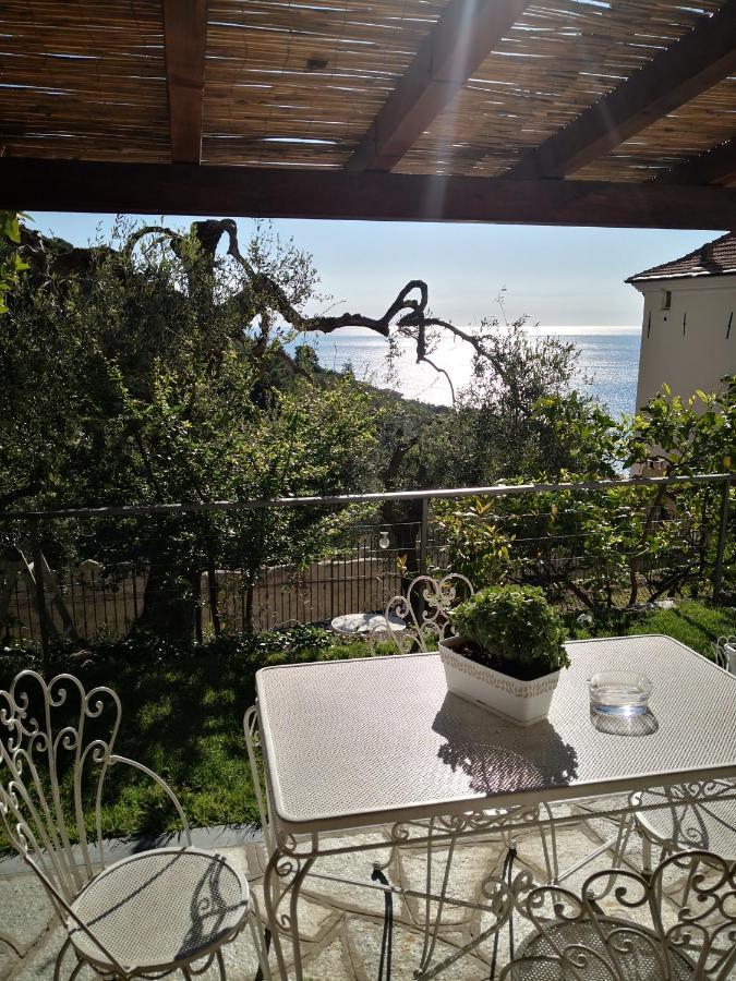 Florinda Lemon'S Suite Cervo Exterior photo